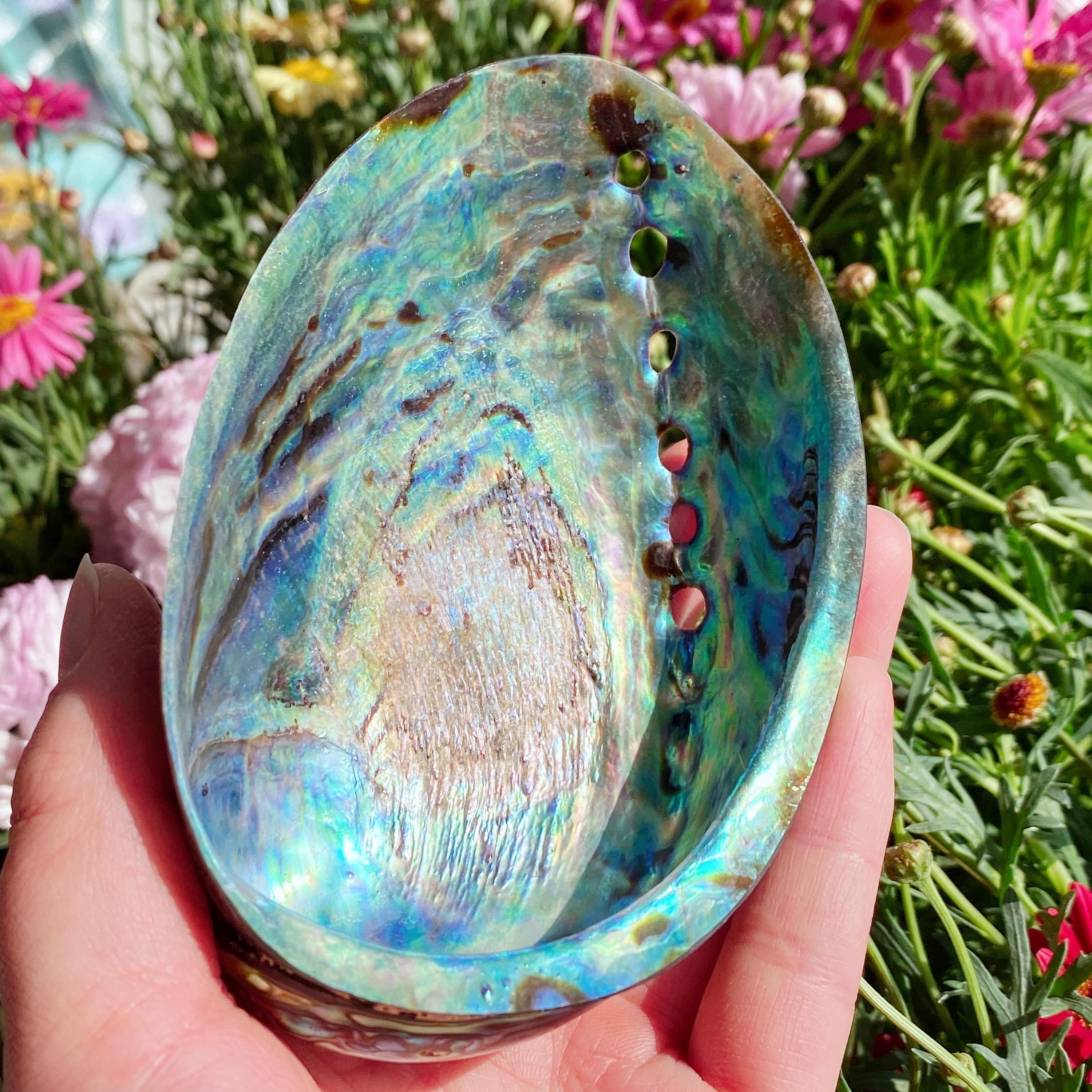 Natural Abalone Shell Dish, Rainbow Iridescent Seashell Decor, Jewelry ...
