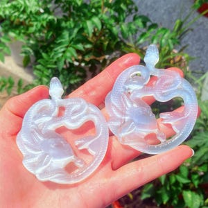 May include: Two translucent, light blue pendants, each featuring a stylized snake coiled around a central form. The pendants are held in a hand against a backdrop of green foliage, highlighting their intricate design and color.