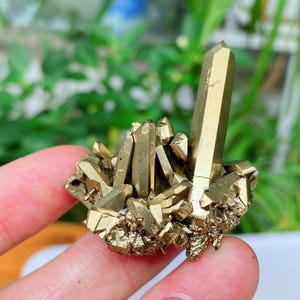 Op de afbeelding: Een cluster van gouden pyrietkristallen, met een prominente, opstaande kristalpunt. De kristallen hebben een metallic glans en staan tegen een vage groene achtergrond. De algemene vorm is onregelmatig en natuurlijk.