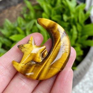 Op de afbeelding: Een gepolijste tijgeroog edelsteen carving in de vorm van een maan met een ster. De steen heeft banden van goudbruine en gele tinten. De carving wordt in een hand gehouden tegen een achtergrond van groen gebladerte. Ongeveer 5 cm lang.