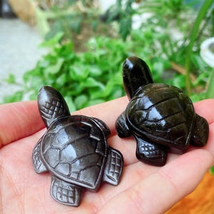 Può includere: Due piccole statuette di tartaruga marrone scuro con motivi di guscio dettagliati. Le tartarughe sono esposte su una mano, con uno sfondo verde sfocato di fogliame. Le statuette sono lunghe circa 5 cm.