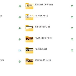 Kolekcja 5400 utworów rockowych – 50 GB MP3 320 kbps (klasyka, łagodne brzmienia, indie, psychodeliczne, mocne brzmienia) zdjęcie 3