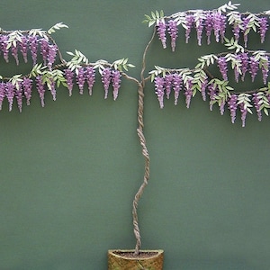 Kit for 1/12th Wisteria Miniature plant for Dollhouses, Florists and  Gardens