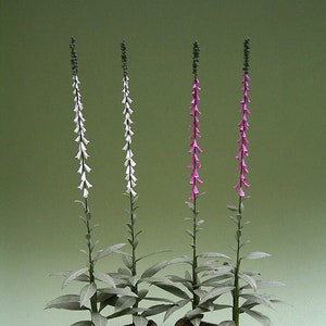 Könnte beinhalten: Drei Topfpflanzen mit hohen, schlanken Stielen und zarten Blüten. Die Pflanzen stehen in einem rechteckigen Topf mit braunem und grünem Design. Die Blüten sind weiß und rosa.