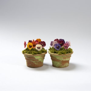 May include: Two small terracotta flower pots with green and brown markings. Each pot contains green moss and colourful pansies in shades of yellow, orange, red, purple, and white. The pots are set against a white background.