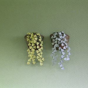 May include: Two hanging plants in terracotta pots. The plant on the left has yellow leaves and the plant on the right has white leaves.