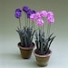 see more listings in the Garden plant kits section