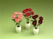 Peony Paper Flower Kit  for 1/12th scale Dollhouses, Florists and Miniature Gardens. 
