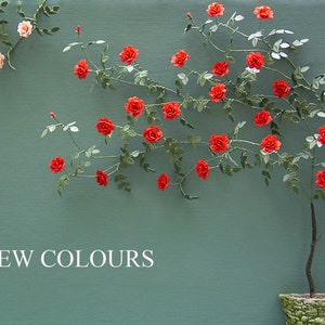 Climbing Rose Paper Flower Kit for 1/12th scale Dollhouses, Florists and Miniature Gardens image 1
