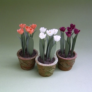 Kit de fleurs en papier perroquet et tulipes pour maisons de poupées, fleuristes et jardins miniatures à l'échelle 1/12