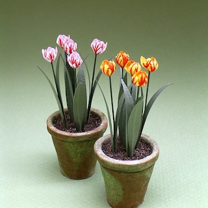 Kit de fleurs en papier tulipes bicolores pour maisons de poupées, fleuristes et jardins miniatures à l'échelle 1/12