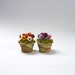 Large Pansies Paper Flower Kit  for 1/12th scale Dollhouses, Florists and Miniature Gardens 