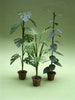 Instruction sheet for large indoor plants for 1/12th or 1/24th scale Dollhouses, Florists and Miniature Gardens 