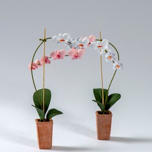 Moth Orchid Kit  for 1/12th scale Dollhouses, Florists and Miniature Gardens