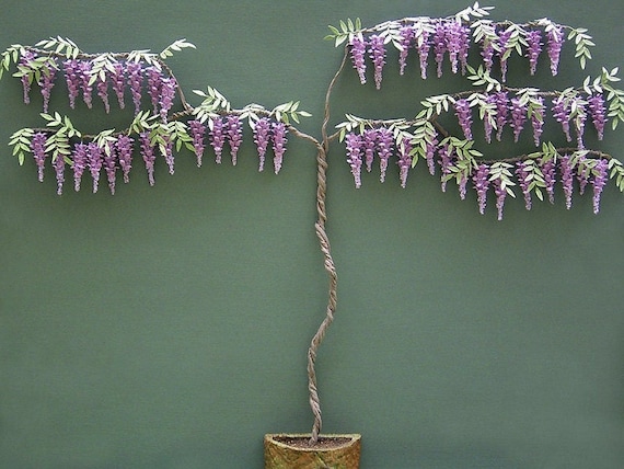 Kit for 1/12th Wisteria Miniature Plant for Dollhouses, Florists and  Gardens - Etsy Israel