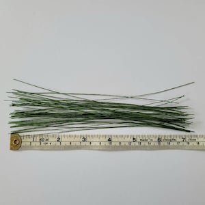 34 Gauge Green Cotton Covered Floral Wire 130 Feet per Bundle 39.6m in 12  Inch 30.5cm Lengths 