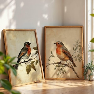 Set di stampe vintage di uccelli pettirossi / Arte botanica di uccelli / Illustrazione antica della natura / Download digitale di stampe da parete / Decorazione rustica di uccelli stampabile