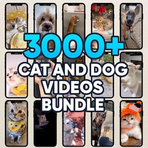 Plus de 3 000 lots amusants pour chiens et chats de haute qualité | Pour les rouleaux Instagram | Tiktok | Short Youtube | Téléchargement instantané