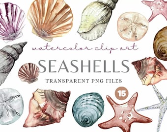 Seashells Watercolour ClipArt | 300 DPI | Transparent PNG | 4200 x 4200 Pixels | 14 x 14 Inches | Digital Download | 15 High-Quality Designs