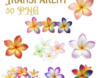 Plumeria Clipart Bundle | 300 DPI JPEG | Transparent PNG | 4200 x 4200 Pixels | 14 x 14 Inches | Digital Download | 50 High-Quality Designs