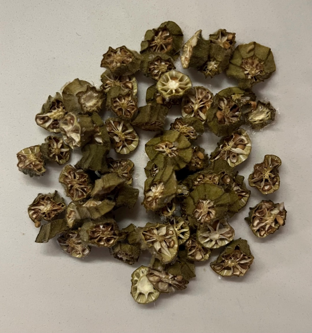 Image result for Dehydrated Okra / Rabbit, Guinea Pig, Hamster, Gerbil, Rat Treats. All ...