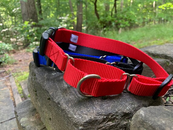 Martingale dog collar with quick best sale snap buckle