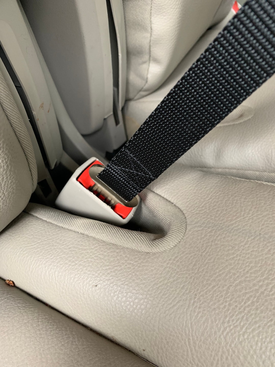 Seat Belt Tether for Dogs Buckles Into Car Seat Belt Etsy