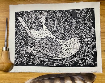 Dead Coopers Hawk In Black Sage Handmade deckle edge paper Linocut print