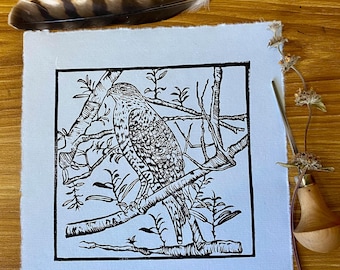 Red Shouldered Hawk Lino Cut Print: Bird of Prey Art