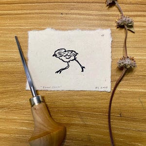 May include: A linocut print of a bird with the text "Plover chick" and "KG 2025" on a textured paper. A wood-handled carving tool and dried plant stem are also in the image. The artwork is displayed on a wooden surface.
