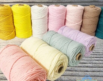 100M Macrame Cotton Cord, 2mm Twine Thread String