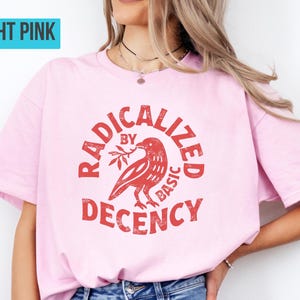 Radicalized By Basic Decency Shirt, Sweatshirt, Hoodie | Political Protest Feminist Activist Merch