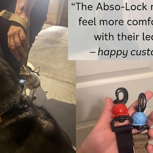 May include: A set of two Abso-Lock leash safety clips, one red and one light blue, attached to dog leashes. The text reads: The Abso-Lock made me feel more comfortable with their leash! &ndash; happy customer. The clips feature a secure locking mechanism.
