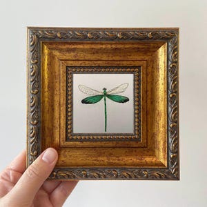 May include: A framed artwork featuring a detailed dragonfly illustration. The dragonfly has green and white wings and a green body. The artwork is set within a gold-colored, ornate frame, adding a touch of elegance to the piece. The frame is square.