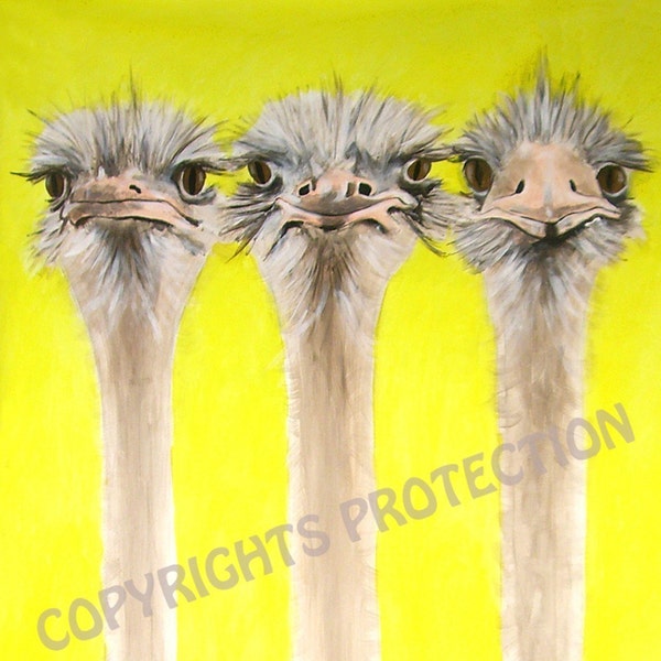 3 OSTRICHES- pop art, original print