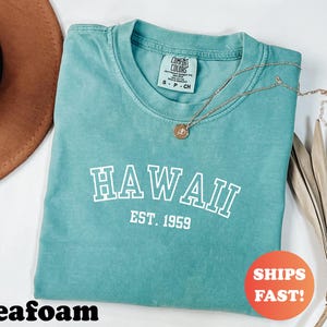 Comfort Colors® Hawaii EST 1959 Shirt, Vintage Hawaii Tee, Retro State TShirt, Trendy Graphic Top, Island Style Tropical Travel Shirt