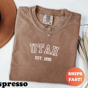 Comfort Colors® Utah EST 1896 Shirt, Vintage Utah Tee, Retro State TShirt, Trendy Graphic Top, Mountain Style Beehive State Graphic Shirt
