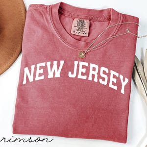 New Jersey shirt, state pride tee, vintage style top, New Jersey gift, classic crewneck, casual graphic tee, unisex shirt
