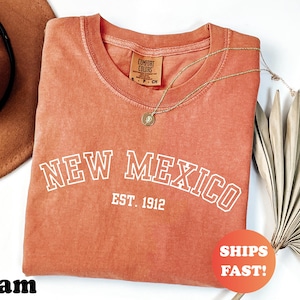 Comfort Colors® New Mexico EST 1912 Shirt, Vintage New Mexico Tee, Retro State TShirt, Trendy Graphic Top, Southwestern Style Desert Shirt