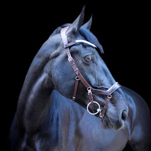 MoonRian anatomic bridle CORDOVAN