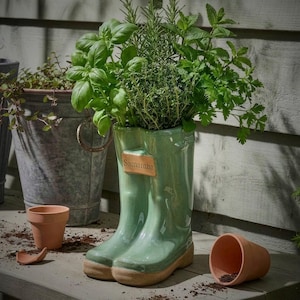 May include: A pale green ceramic boot-shaped planter filled with herbs. The planter has a brown base and a tag that reads "Samantha". Other planters and terracotta pots are in the background.
