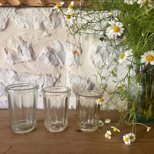 Peut inclure: Trois bocaux en verre transparent avec des détails nervurés verticaux disposés en rangée, accompagnés d'un vase en verre rempli de fleurs blanches et jaunes ressemblant à des marguerites. Les bocaux ont une forme cylindrique simple.