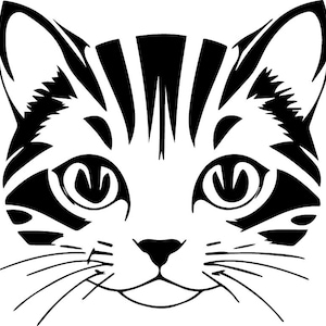 Gatto