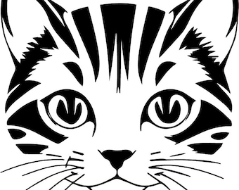 Katze