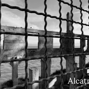 Alcatraz Life