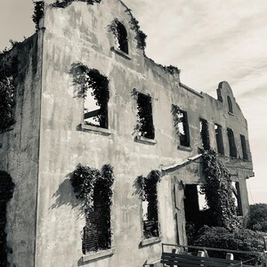 Alcatraz Life