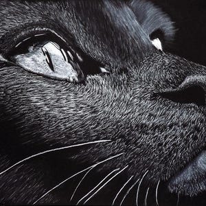 Un chat noir porte-bonheur - un dessin original au pastel