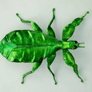 Puede incluir: Un insecto hoja verde con patas largas y delgadas y un cuerpo que se asemeja a una hoja. El insecto est&aacute; posado con las patas extendidas, como si estuviera caminando.