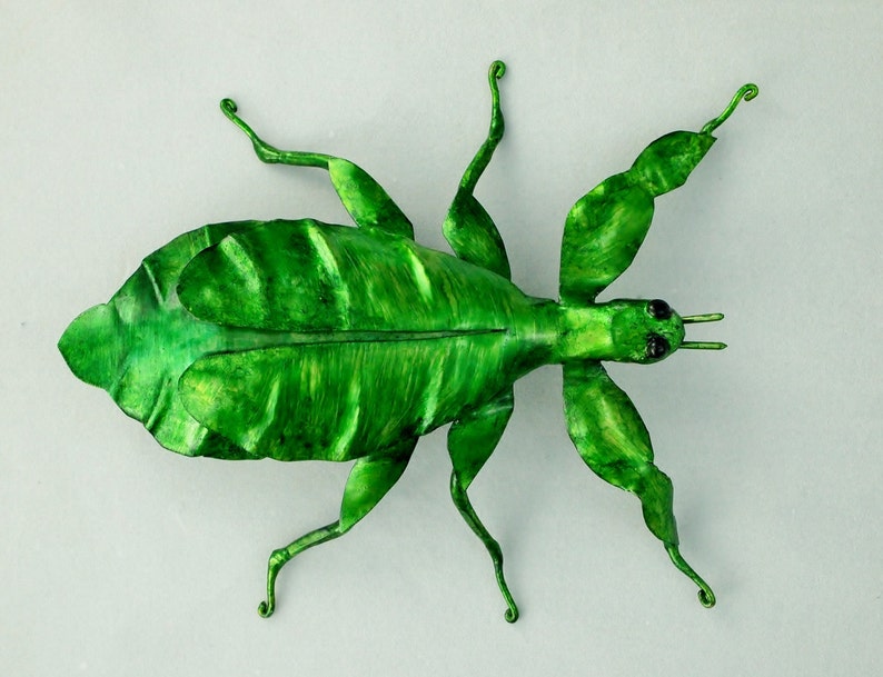Puede incluir: Un insecto hoja verde con patas largas y delgadas y un cuerpo que se asemeja a una hoja. El insecto est&aacute; posado con las patas extendidas, como si estuviera caminando.