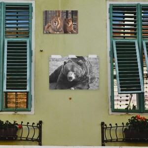 Poster &quot;Bear Necessaires - Ode an den Minimalismus&quot; 30x45cm2